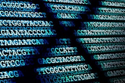 2019 04 27 00 03 6781 Dna Sequence Shadow 400