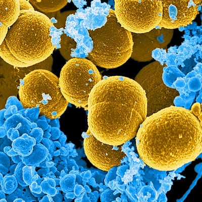 2019 05 13 20 10 9004 Staphylococcus Aureus Bacteria 400