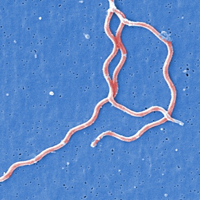 2019 04 19 20 00 0990 Borrelia Burgdorferi Lyme 400