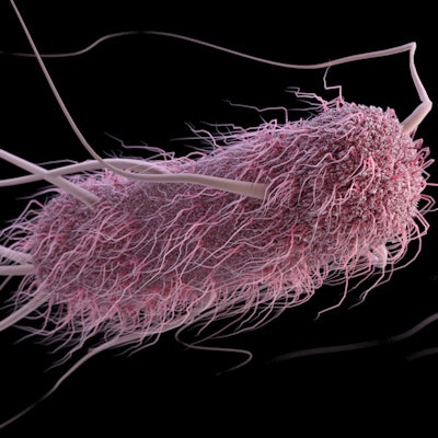 2019 09 19 04 32 6195 Escherichia Coli Bacteria Cdc 400