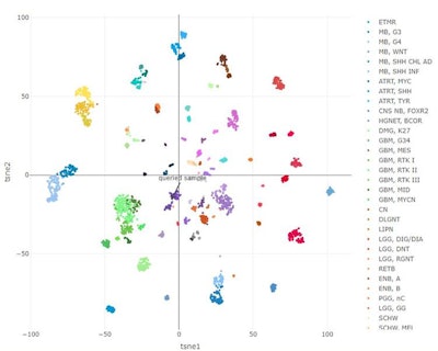 Image shows the epigenetic map of all brain tumor types using DNA methylation data from 2,800 previously profiled brain tumors. Each color represents a molecularly distinct brain tumor entity. When a tumor is tested in the laboratory, a machine-learning algorithm identifies the best fit, comparing it with the epigenetic landscape of all brain tumors. Image courtesy of NYU Perlmutter Cancer Center.