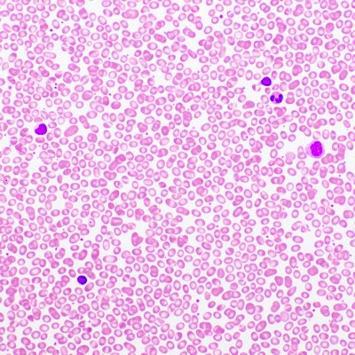 2019 12 02 21 34 4466 Pathology Wbc Rbc Platelets 400