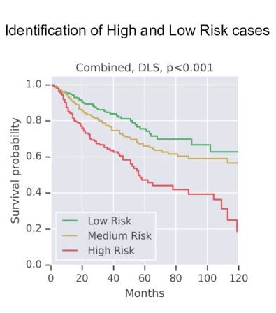 Google has developed a deep-learning approach that uses weak supervision for directly predicting disease-specific survival in multiple types of cancer. Image courtesy of Wulczyn et al, PLOS One.