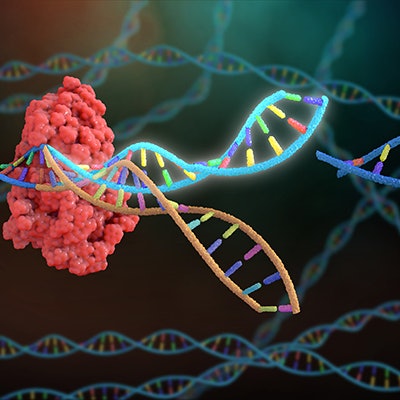 2021 02 22 23 24 5242 Crispr Cas9 Gene Editing 400