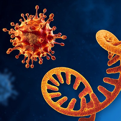 2021 03 23 22 00 5601 Sars Co V 2 Genome Rna 400