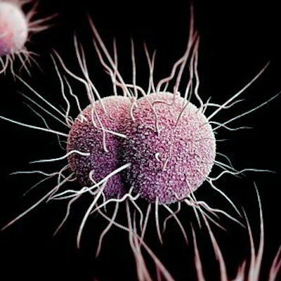 2019 05 24 21 56 3410 Gonorrhea Neisseria Gonorrhoeae 400