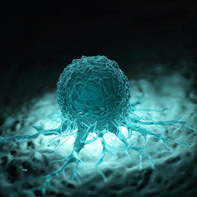 2021 08 06 16 17 5155 Cancer Cell Microenvironment 400