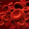 2020 10 19 22 00 1118 Blood Cells 400