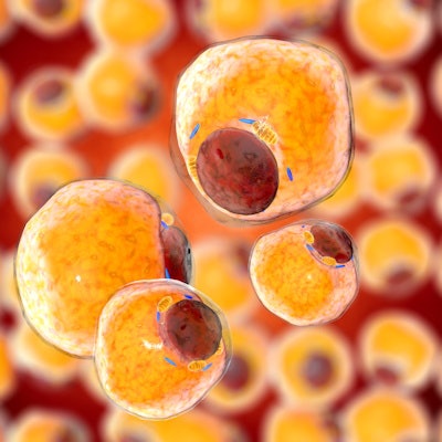 2022 06 16 19 33 6973 Fat Tissue Adipocytes 400