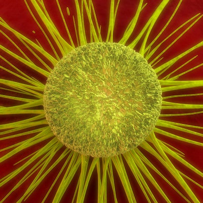 2021 06 08 21 44 7484 Cancer Cell Yellow 400