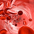 2022 09 06 18 59 7755 Blood Cells Vessel2 400