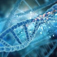 Dna Genome Gene Targeted