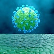 Viral Like Particles Vaccine