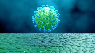 Viral Like Particles Vaccine