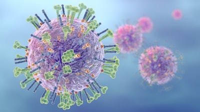 Influenza Virus