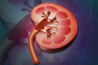 Kidney