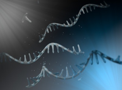 Rna Strand2