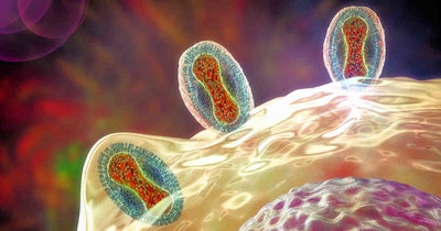 3 D Monkeypox Infecting Cell Social