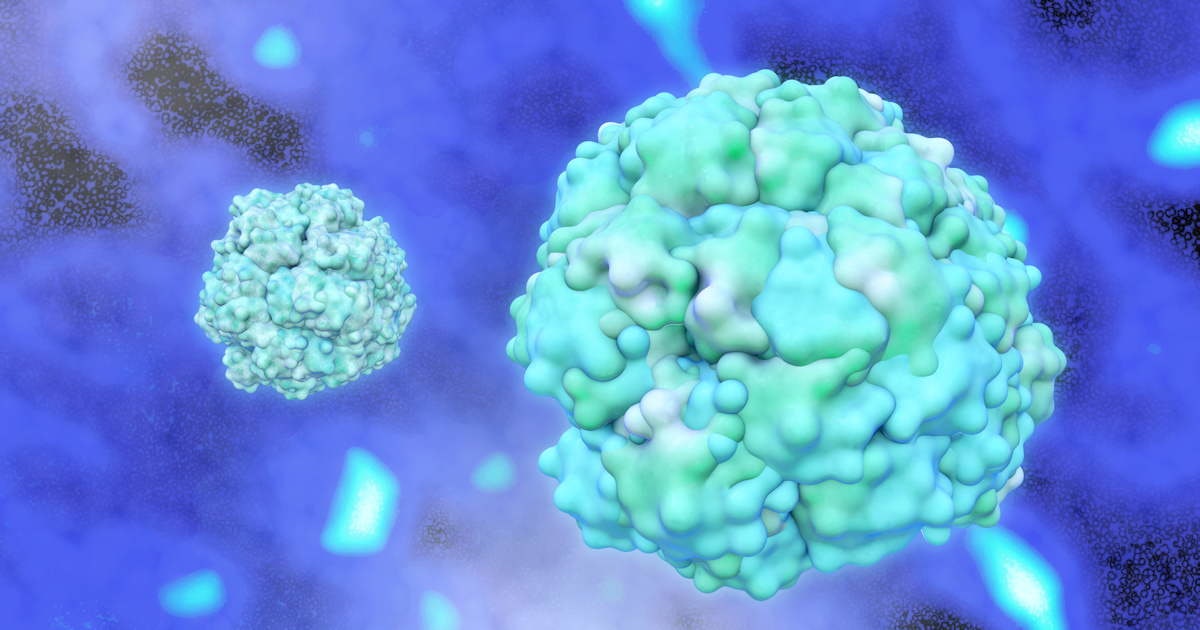 Avenda Health gets FDA 510(k) clearance for iQuest prostate cancer