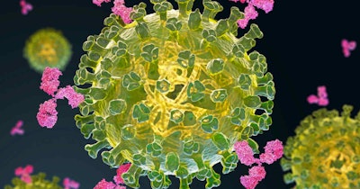 Virus Antibody Antigen Epitope Social