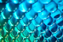 Hydrogel Blue Green Social