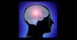 Head Brain Thinking Social