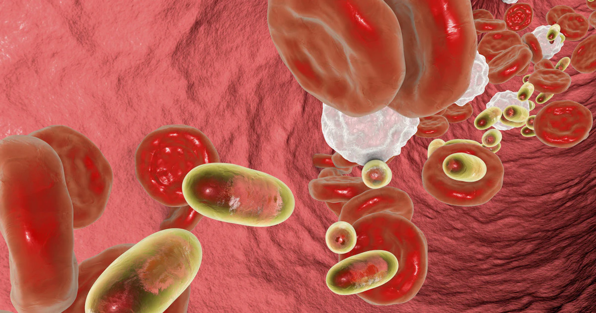 Siemens Healthineers to distribute Scopio Labs' full-field digital cell morphology technology - Vimarsana News