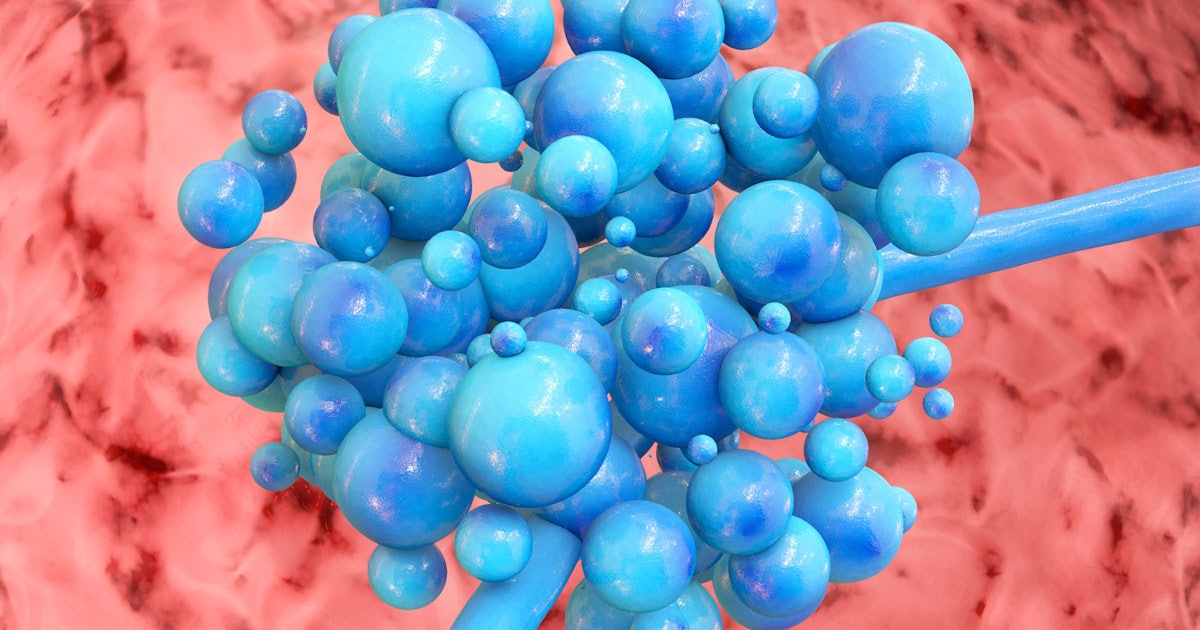 BioMérieux researchers describe rise of multidrugresistant Candida auris infections