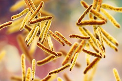 Bacteria Mycobacterium Tuberculosis Social