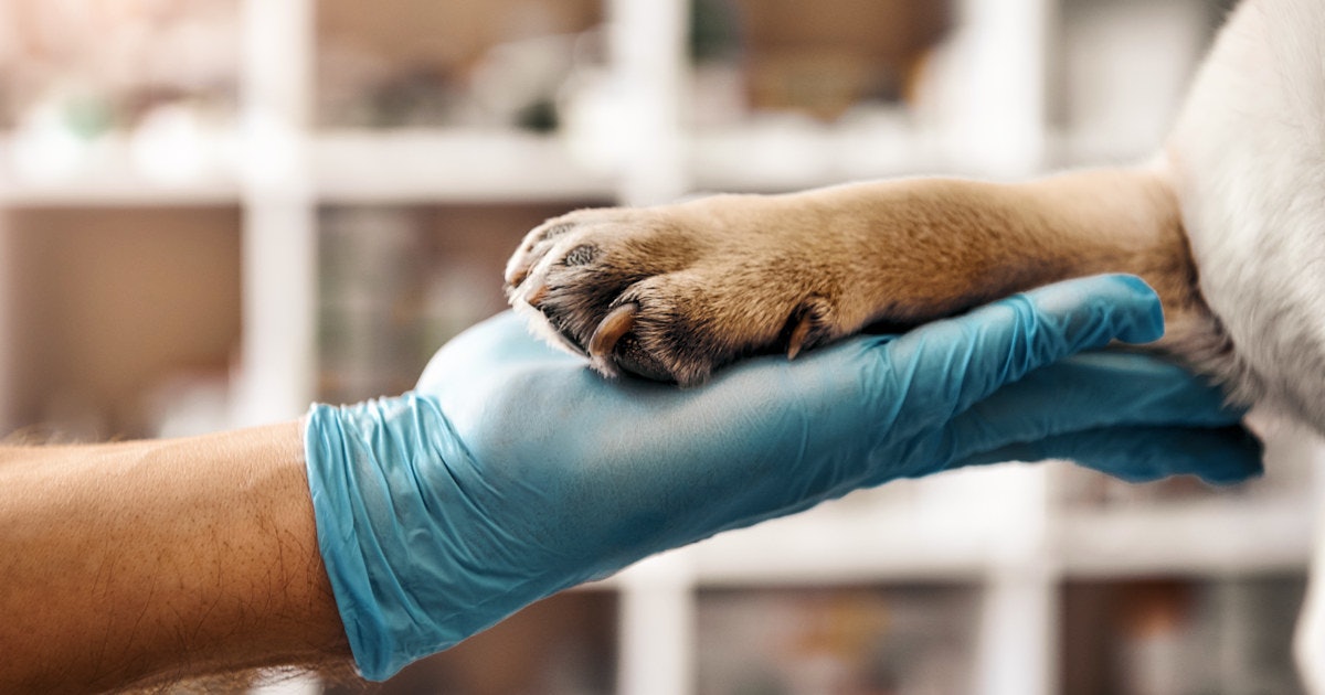Mars cheap petcare acquisition
