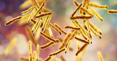 Bacteria Mycobacterium Tuberculosis Social