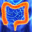 Colon Intestine Social