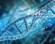 Dna Genome Gene Targeted Social