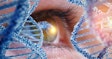 Eye Dna Genes Social
