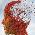 Brain Dementia Leaves Social