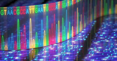 Dna Sequence Social