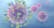 Influenza Virus Social