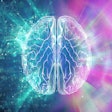 Computer Brain Hemisphere Social