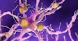 Amyloid Plaque Alzheimer2 Social