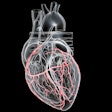 Artery Heart 3 D Social