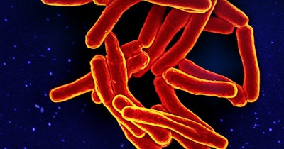 Mycobacterium Tuberculosis Bacteria Niaid Social