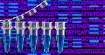 Lab Pcr Tubes Dna Social